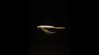 Tying the Joobie Shad Fly