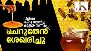 Cherutheneecha | വീട്ടിലെ ചെറു തേനീച്ച കൂട്ടിൽ നിന്നും തേൻ ശേഖരിച്ചു | stingless bee | honey | JK