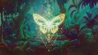 🦋THE BUTTERFLY EFFECT ⁂ Elevate your Vibration ⁂ Positive Aura Cleanse ⁂ 432Hz M