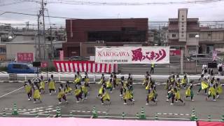 舞ぇぇ華 2015踊っこまつり 【4日】 イオン加古川 mususukunjp