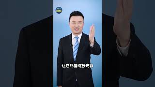 九年成绩出炉，久久为功，尽情绽放！| CCTV「主播说联播」