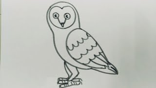How to draw a barn Owl||Easy barn owl drawing step by step.