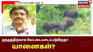 உரிகம் வனப்பகுதியில் தொடரும் யானைகள் மரணம், குறிவைத்து வேட்டை | Elephant | Tamil News