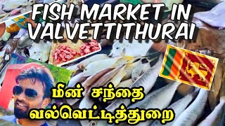 வல்வெட்டித்துறை மீன் சந்தை 🇱🇰| Fish market om Valvettithurai | Jaffna |Srilanka