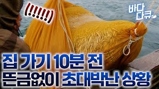 망한 줄 알고 집 가려는데 갑자기 2톤이 올라왔다. 순식간에 난리 난 갑판 상황 / 만선 까나리잡이 / #바다다큐