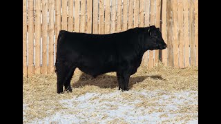 Lot 38 - REMI 72H