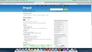 Trizzy Install the theme for existing Drupal Installation
