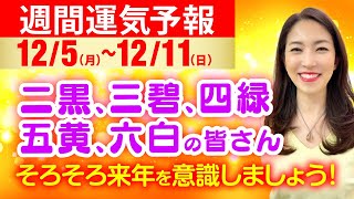 【あと2ヶ月】二黒、三碧、四緑、五黄、六白の皆さん、来年を意識して【九星気学】【バイオリズム】