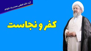 کفر و نجاست - آیت الله محمدرضا نکونام