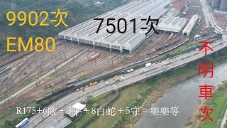 2025/01/06 七堵貨列7501次+9902次/EM80+不明貨物列車。#貨物列車 #freighttrain