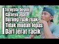 Cara agar ruak ruak tidak mudah lolos atau lepas dari jerat racik gantung || BIRD TRAP