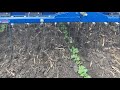 Treffler TS Precision Tine Harrow in residue slow motion