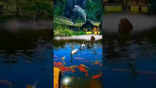 pound and fish, || Jungle house with nature beauti,