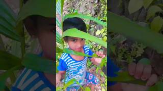 nostalgia plant🌿#പണ്ടത്തെ ടാറ്റു കണ്ടിട്ടുണ്ടോ😘#shorts#trending#viral#nostalgic moments#subscribe#