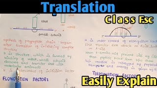 Translation | Protein Synthesis | Class 12 In (Urdu/Hindi)