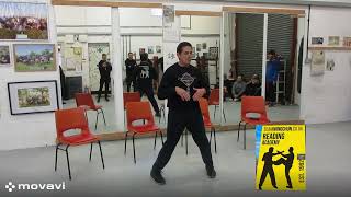 Loukas Kastrounis  Wing Chun Horse Stance Part 1