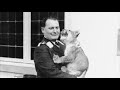 hermann göring s pet lions