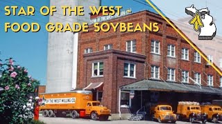 Star of the West - Food Grade Soybeans | Michigan Soybean