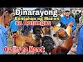 Ep: 20 Bentahan ng Manok sa PADRE GARCIA BATANGAS  mga Mura at QUALITY