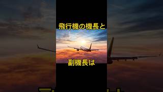 飛行機の機長、実は #shorts #豆知識