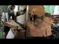 ranked number one in the world sawing a 500 year old tree at a sawmill