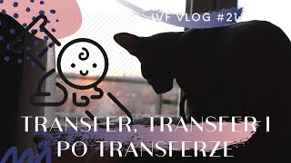 IVF vlog #21 TRANSFER, TRANSFER I PO TRANSFERZE