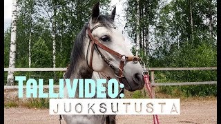 Tallivideo: Grandulan juoksutusta