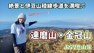 【達磨山と金冠山】富士山や海を見ながら絶景と伊豆山稜線歩道を満喫🤗