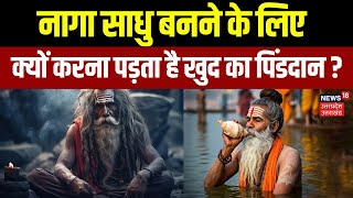 Mahakumbh : नागा साधुओं का जीवन आम लोगों से कैसे होता है अलग? पूरी कहानी जानिए | Naga Saghu | N18K