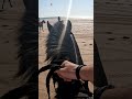 Riding Horses In Essaouira Morocco Friends Trip Beach Summer Shorts