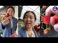 செம்புற்றுப்பழம் ஸ்ட்ராபெர்ரி தோட்டம் strawberry farming vlog in china tamil tamil elakkiya