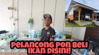 MELAWAT KEDAI IKAN FIRBY BETTA DI LANGKAWI! JALAN JALAN CARI IKAN SAMPAI KE KEDAH?