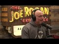 india s sacred cow joe rogan u0026 eric goode u0026 jeremy mcbride