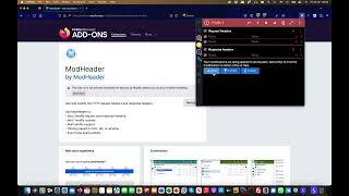 Firefox Extension Mini series | Modheader | Bug Bounty Service LLC