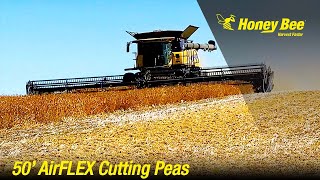 40' AirFLEX Demo | Peas | Newdale, Manitoba