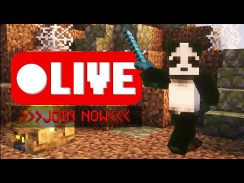 Donut Smp Live Rating Your Base Lootdrop Join Fast Youtube