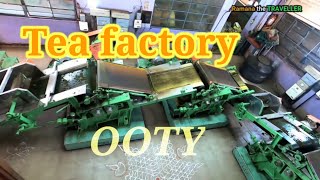 Ooty Tea Factory  | Ooty tea gardens | ooty factory museum complete tour