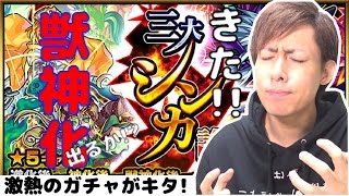 【モンスト】獣神化で排出される神ガチャ来た!!!!三大シンカ論！【ぎこちゃん】