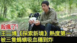 殺瘋了!王一博《探索新境》熱度空降第一，被三隻螞蟥吸血穩到炸#王一博#hk茶餘飯後