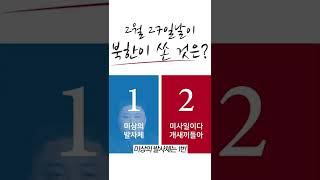 2022 대통령선거 밸런스 게임