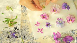 Enjoy cut flowers and pressed flowers from the flowers you grow.