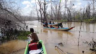 ព្រៃលិចទឹកព្រៃសង្ឃរុក្ខវ័ន