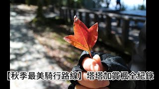 【楓紅機旅】台18線秘境追風！阿里山→塔塔加 騎遇雲海、千年神木的秋季絕景之旅