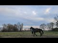 retraining an ottb week 1