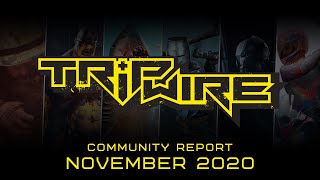 Tripwire Interactive Community Report - November 2020