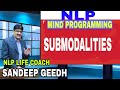 NLP: MIND PROGRAMMING: Life Transformation with SANDEEP GEEDH/32 /Sub Modalities