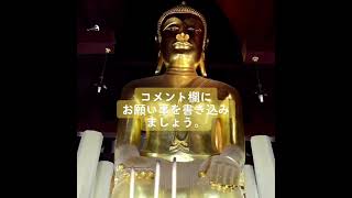 表示されてから33秒以内に再生して下さい。驚くほど幸せな状況が訪れます。けして逃さないで下さい。1分で最幸の状態が訪れる幸運体質へとチューニングします - Japan- [金運招福]