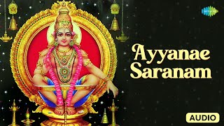 Ayyanae Saranam | Ayyappan Songs | Veeramani Karna | Saregama Tamil Devotional