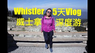 Whistler 5天6夜无车夏天深度游vlog｜温哥华惠斯勒 爬山 游泳 山地车｜ascent trail｜mount sproat｜LORD OF SQUIRRELS｜松鼠王山黑梳山绿湖｜爱美丽熊