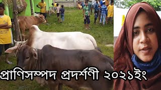 প্রাণিসম্পদ প্রদর্শণী ২০২১ইংঅর্থায়নেঃ প্রাণিসম্পদ ও ডেইলী উন্নয়ন প্রকল্প, প্রাণিসম্পদ অধিদপ্তর।